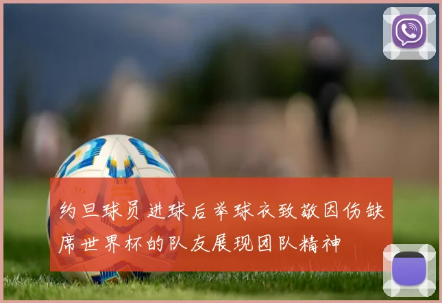 约旦球员进球后举球衣致敬因伤缺席世界杯的队友展现团队精神